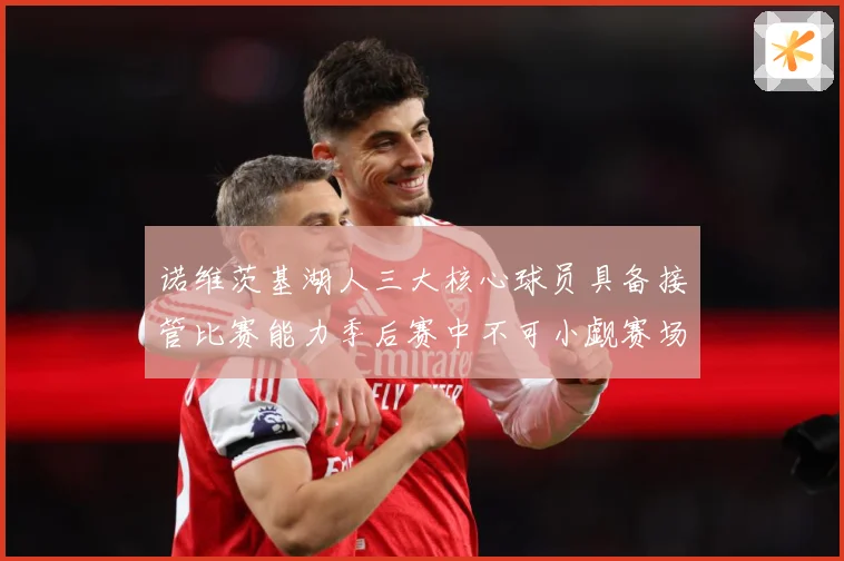 诺维茨基湖人三大核心球员具备接管比赛能力季后赛中不可小觑赛场复盘-深度解析